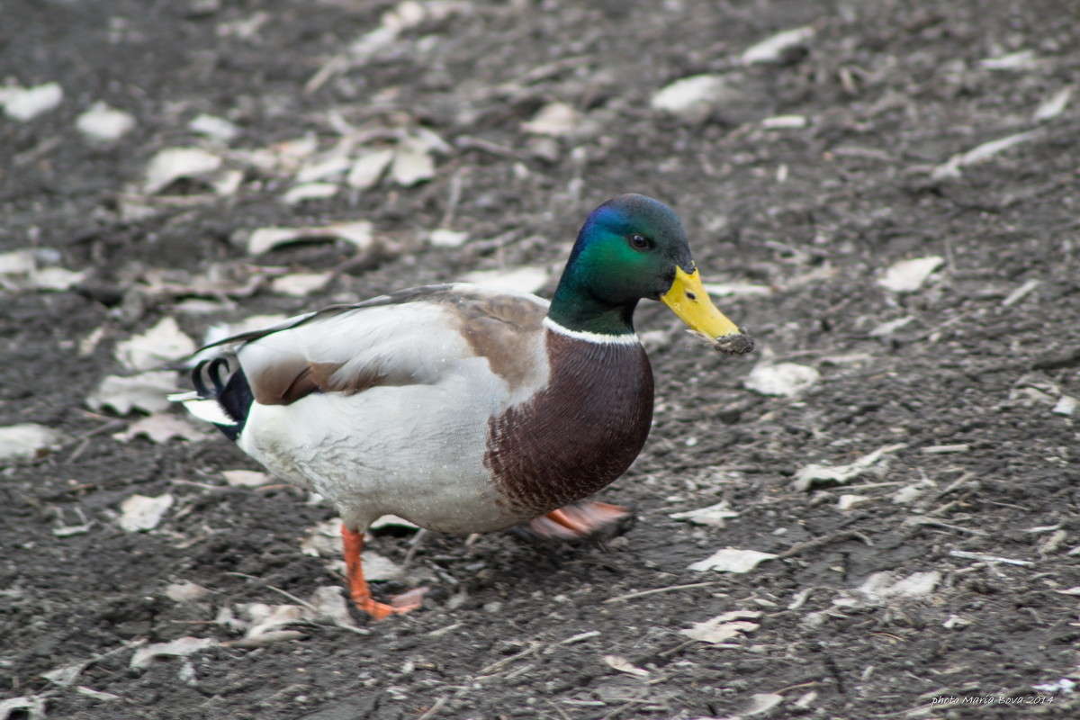 ... ����� ����� ���� �� PhotoGeek.ru #�������� ���