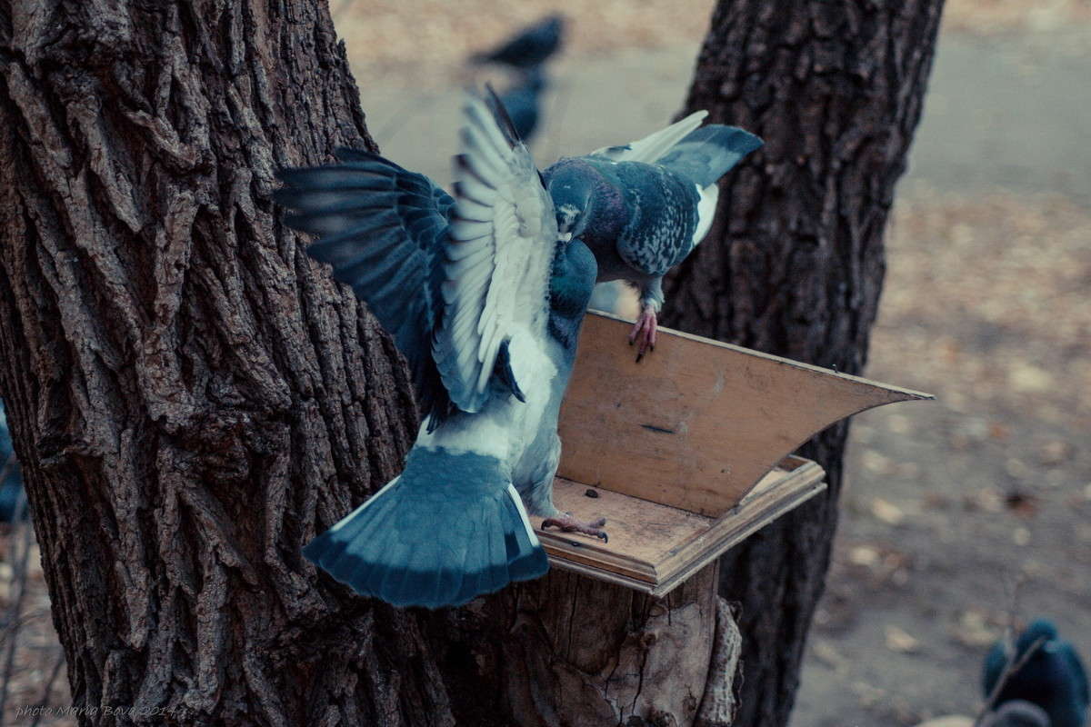 ������� ����� ����� ���� �� PhotoGeek.ru #�������� ���