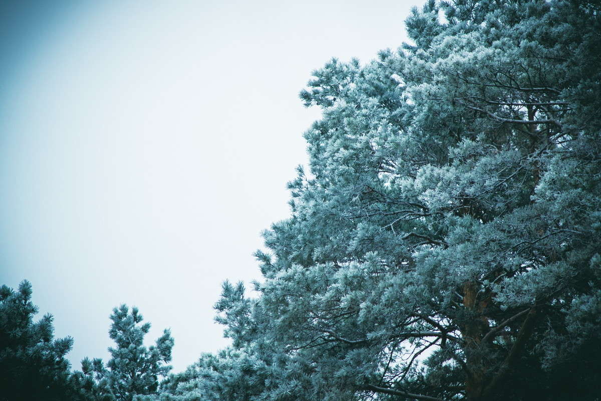 ���������� ������� ����� ����� ���� �� PhotoGeek.ru #������ ��� �������