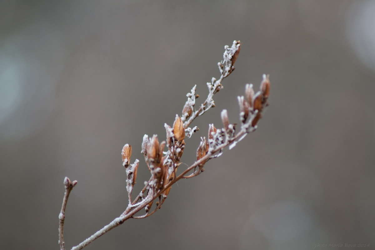 ... ����� ����� ���� �� PhotoGeek.ru #������ ��� �������