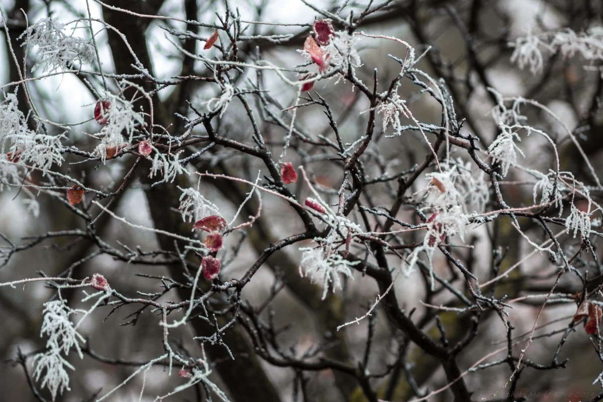 � ������ ����� ����� ���� �� PhotoGeek.ru #����� #������ ��� �������