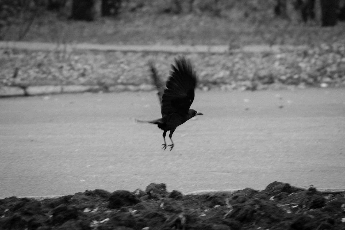 �� ����� ����� ����� ���� �� PhotoGeek.ru #�������� ���