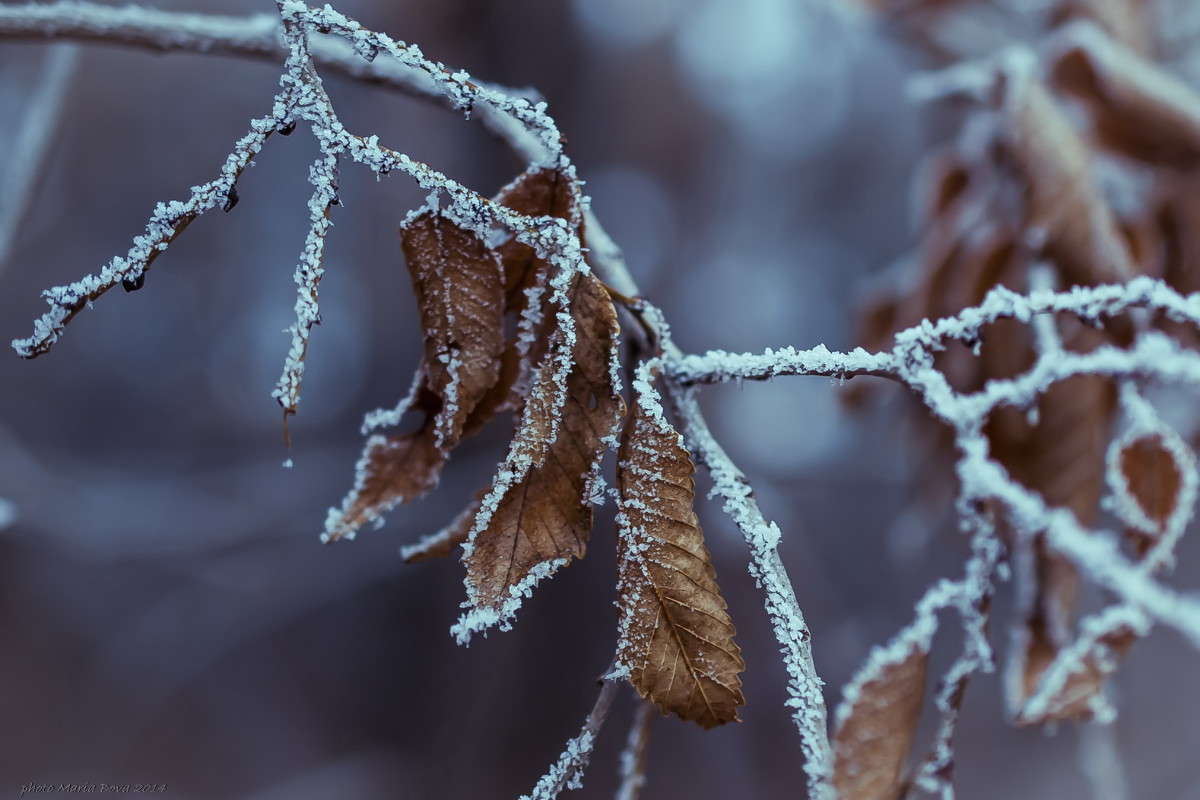 ����������� ���� ����� ����� ����� ���� �� PhotoGeek.ru #������ ��� �������