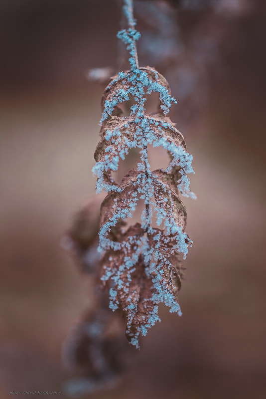 ����-����� ����� ����� ���� �� PhotoGeek.ru #����� #������ ��� �������