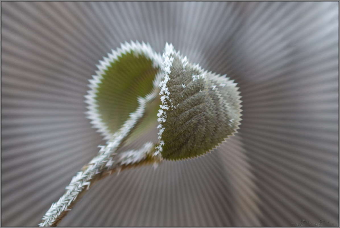 ������������ ����� ����� ���� �� PhotoGeek.ru #����� #������ ��� �������