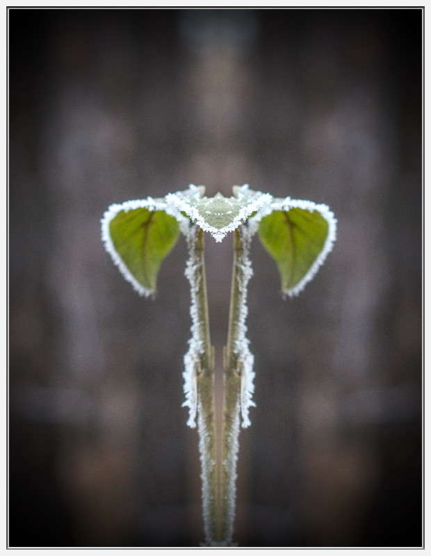 ����� ����� ����� ���� �� PhotoGeek.ru