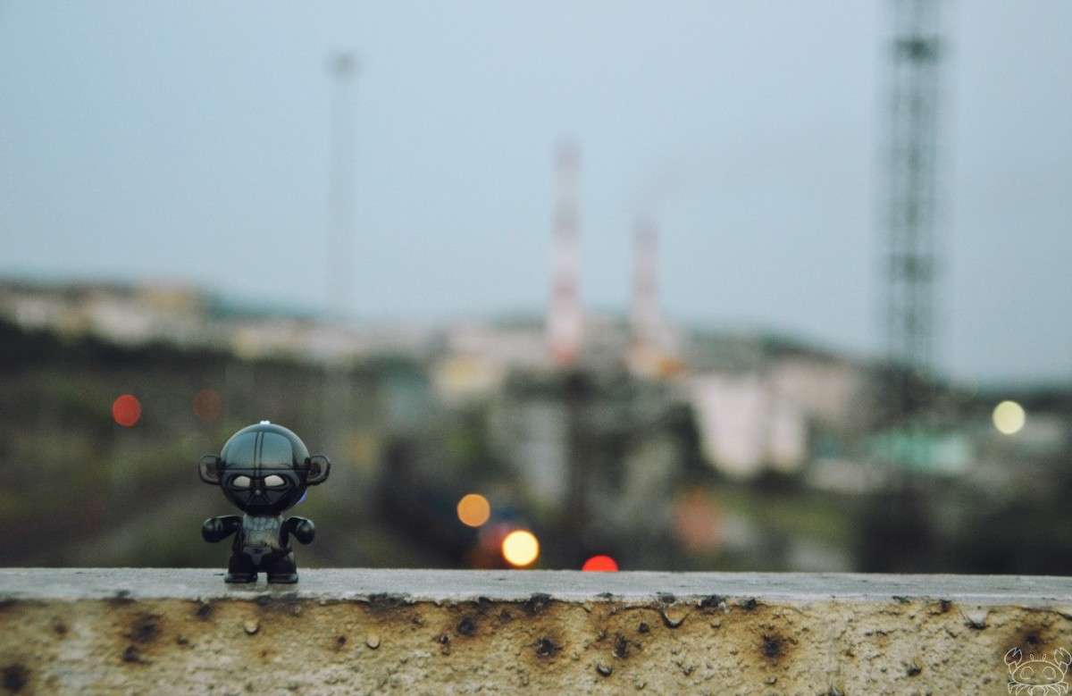 ���� ������ ����� �������  �� PhotoGeek.ru #����� #�������� ���������� #���-�����������