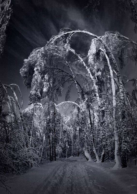 ��������� ��� ����� Alexandr Avtushko �� PhotoGeek.ru #������ ��� ������� #�����-�����