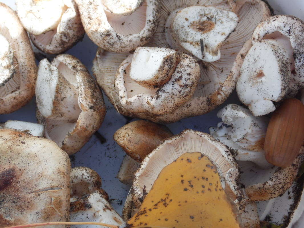 ����� ����� �����   �� PhotoGeek.ru #����� #�����