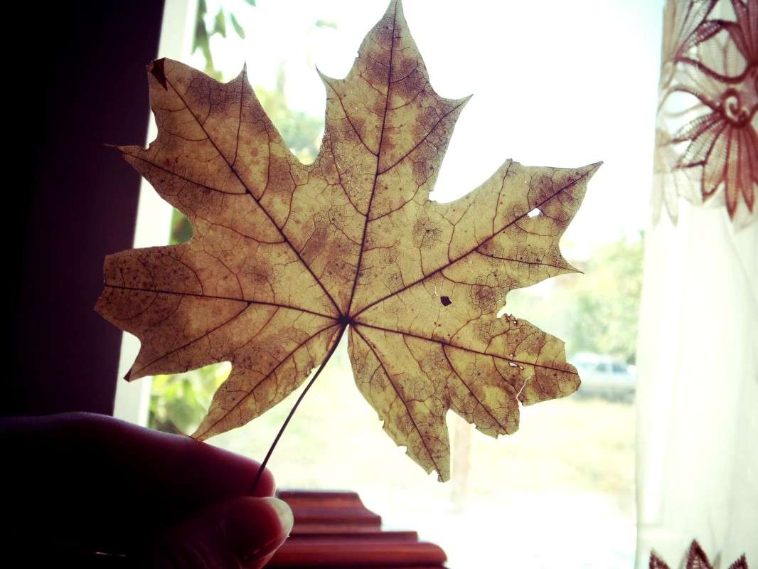 ���� ����� �����   �� PhotoGeek.ru #����