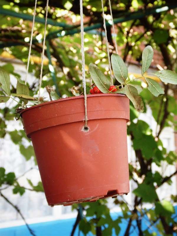 ������ � ������ ����� �����   �� PhotoGeek.ru #����� #����� ����� #������