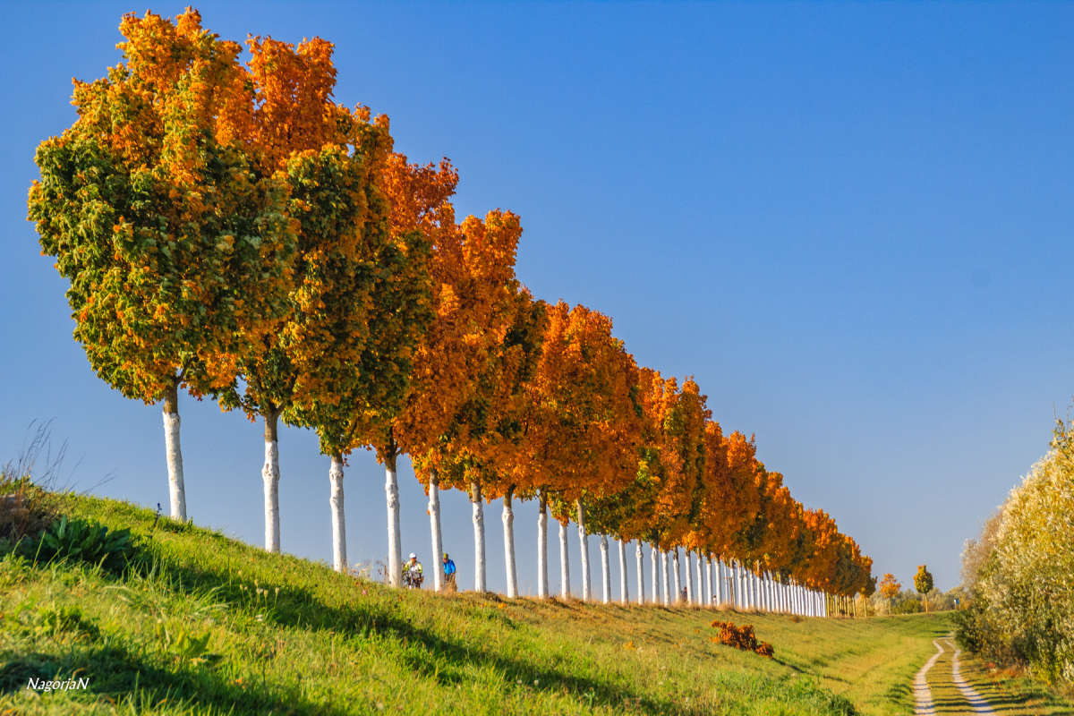 ������� ����� ���. ����� �������  _TVV �� PhotoGeek.ru #������ ��� �������