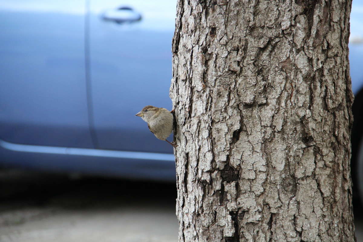 ... ����� Nast9  �� PhotoGeek.ru #�������� ���