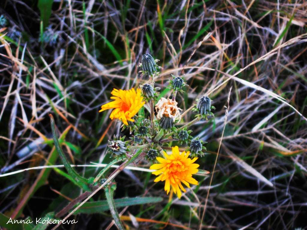 ... ����� ���� �������� �� PhotoGeek.ru #������ ��� �������