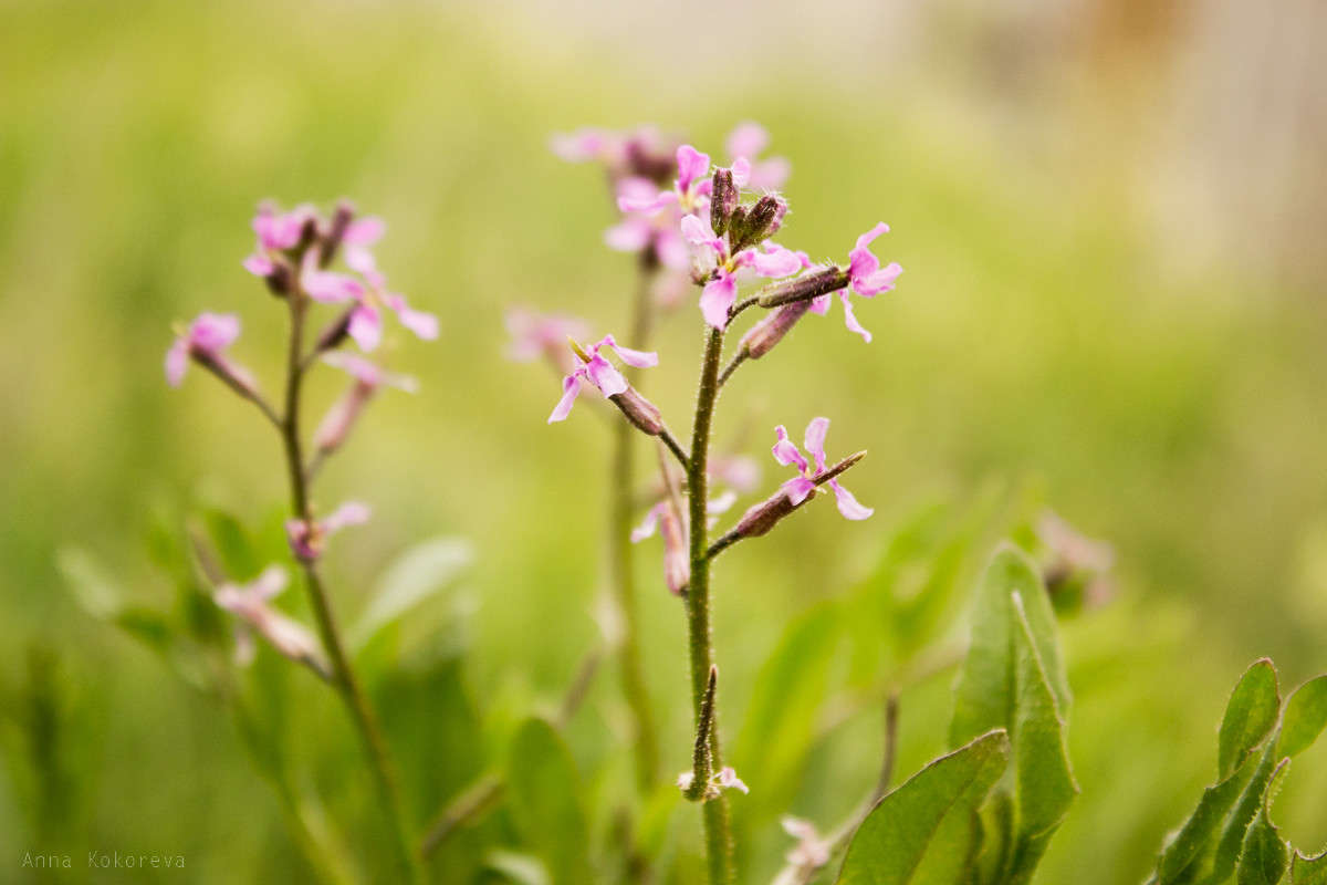 �������� ����� ���� �������� �� PhotoGeek.ru #������ ��� ������� #����� �������������� #����� ��������