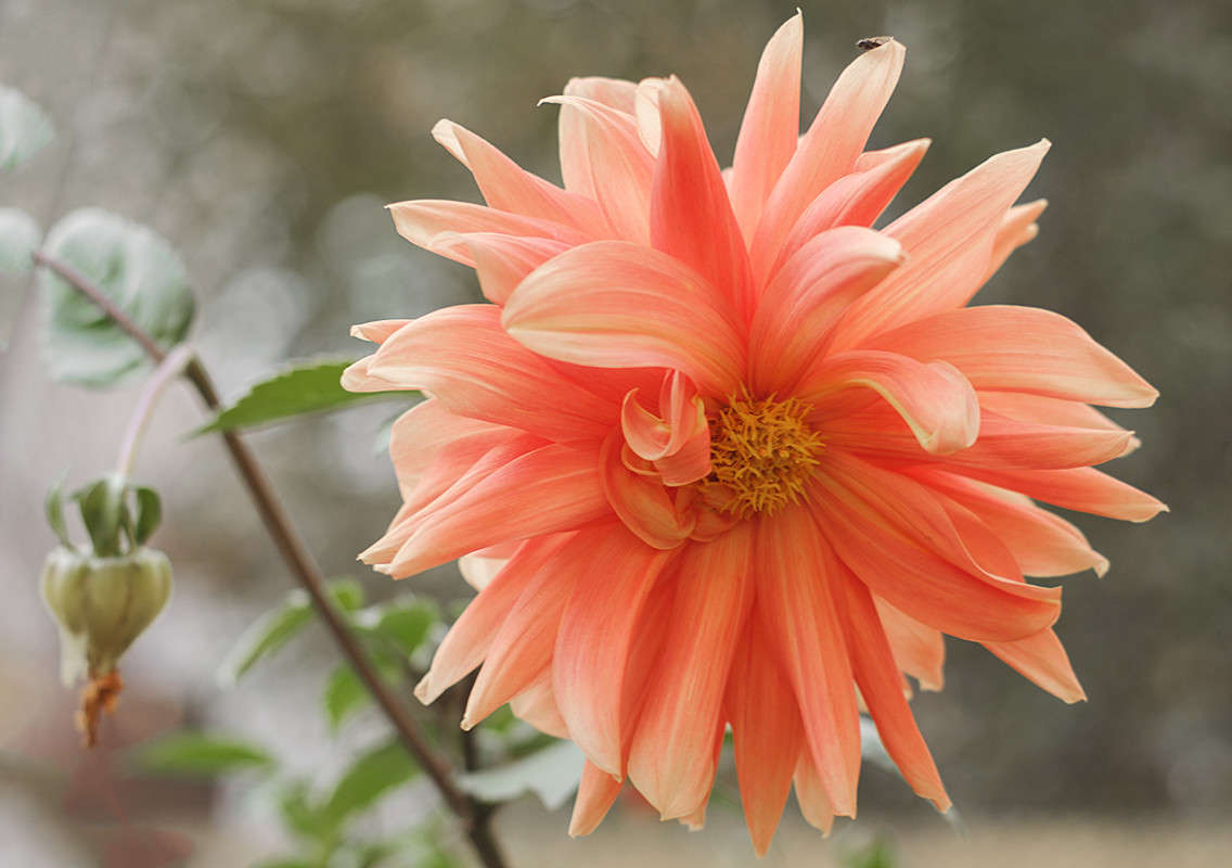 ))))) ����� ������ ���������� �� PhotoGeek.ru #������ ��� ������� #���������