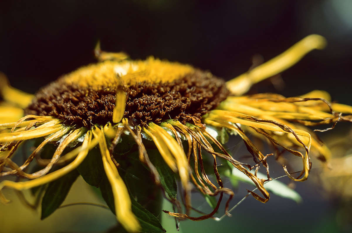 ))) ����� ������ ���������� �� PhotoGeek.ru #����� #����� ��������������