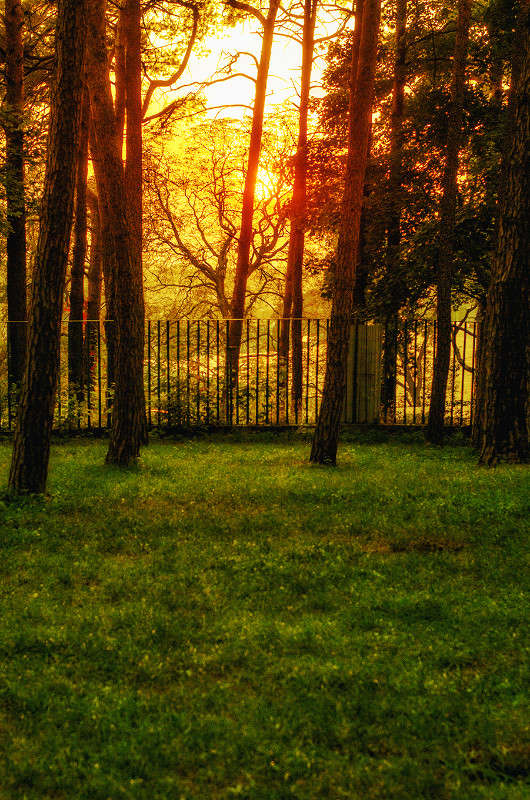 ����� ����� ������ ���������� �� PhotoGeek.ru #������ ��� ������� #���������