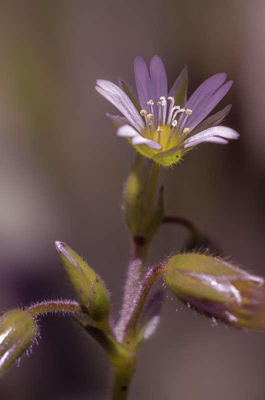 ))) ����� ������ ���������� �� PhotoGeek.ru #����� #����� ��������������