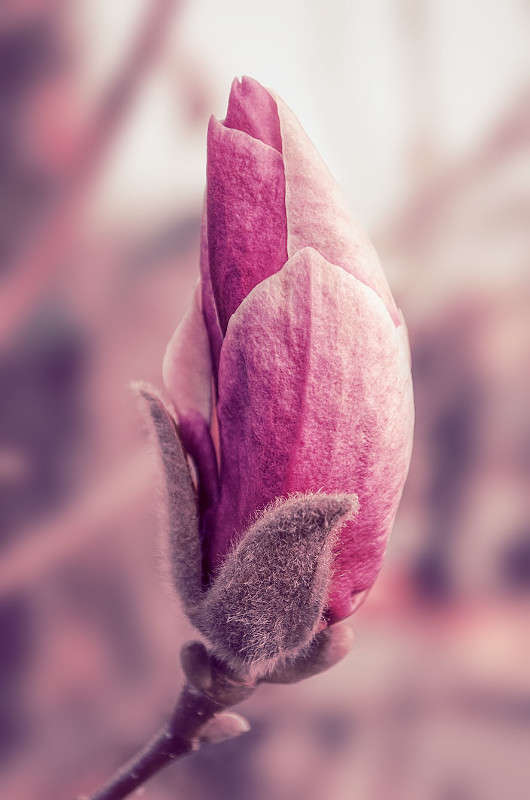 �������� ����� ������ ���������� �� PhotoGeek.ru #������ ��� ������� #����� �������������� #���������