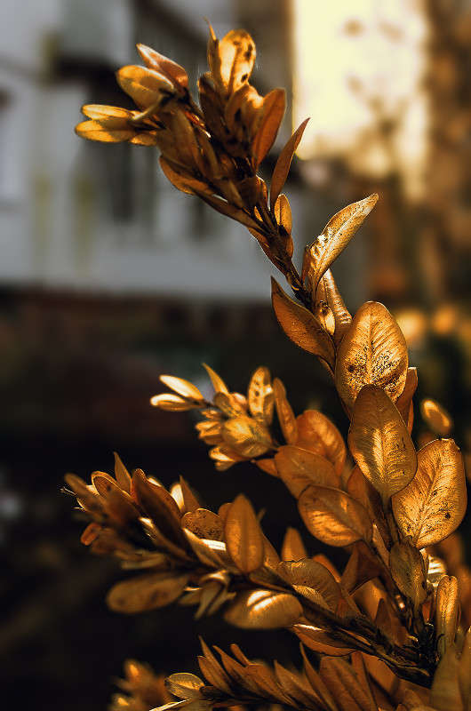 ))) ����� ������ ���������� �� PhotoGeek.ru #������ ��� ������� #���������