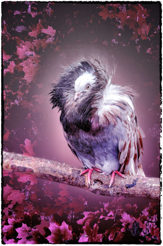 ���������� ��������� ������ ����������� ����� ������ ���������� �� PhotoGeek.ru #�������� ��� #���-����������� #����� ��� ��� ���������