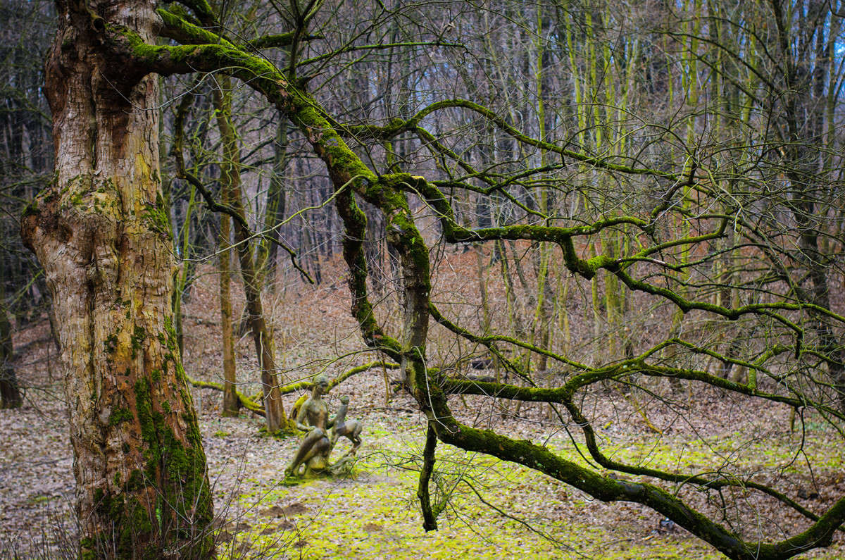 �����. ���� �������� ���� ����� ������ ���������� �� PhotoGeek.ru #������ ��� ������� #���������