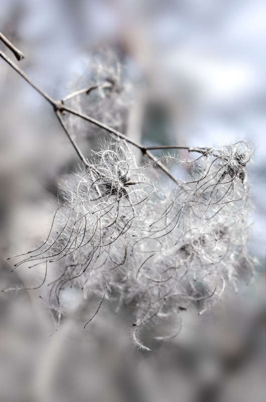 �������� - ������! ����� ������ ���������� �� PhotoGeek.ru #������ ��� ������� #���������