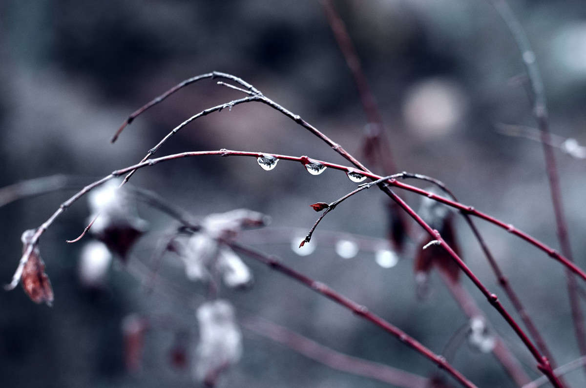 ))) ����� ������ ���������� �� PhotoGeek.ru #������ ��� ������� #���������