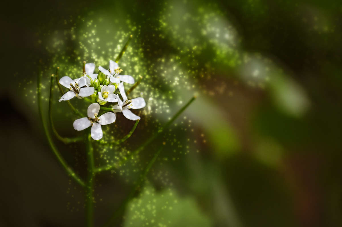 ))) ����� ������ ���������� �� PhotoGeek.ru #������ ��� ������� #����� �������������� #���������