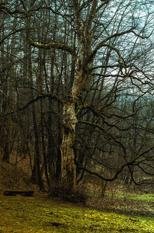 ))) ����� ������ ���������� �� PhotoGeek.ru #������ ��� ������� #���������