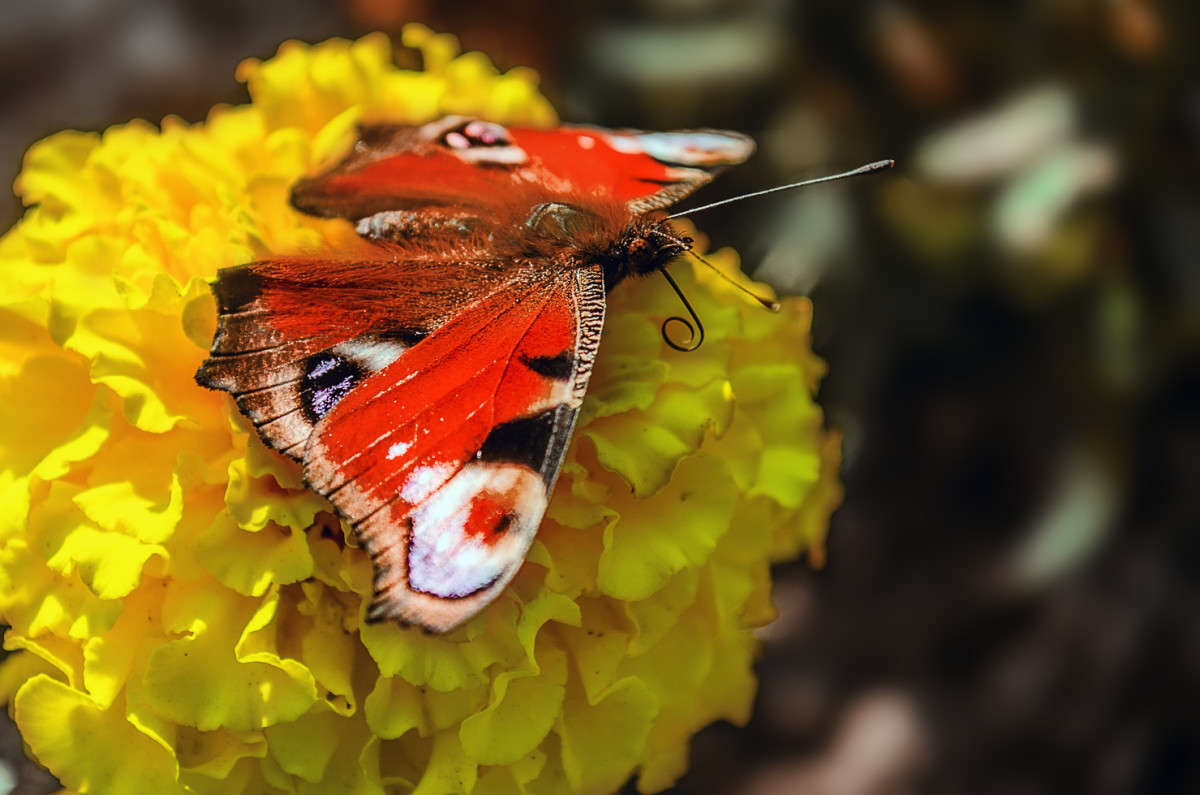 ))) ����� ������ ���������� �� PhotoGeek.ru #������ ��� ������� #���������