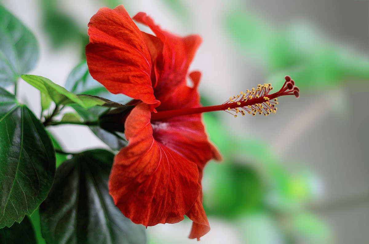 ))) ����� ������ ���������� �� PhotoGeek.ru #������ ��� ������� #���������