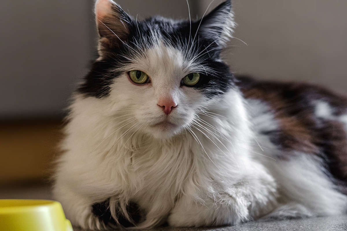 ))) ����� ������ ���������� �� PhotoGeek.ru #�������� ��� #������� #�������� ���