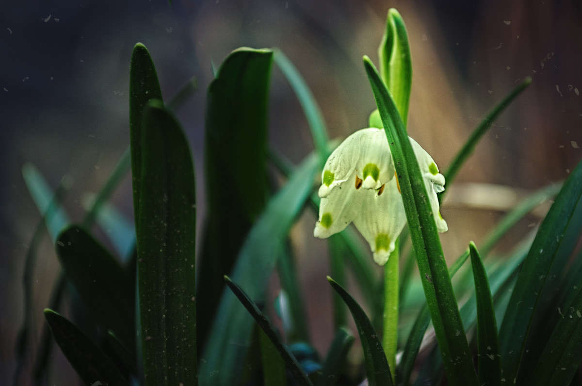 ))) ����� ������ ���������� �� PhotoGeek.ru #������ ��� ������� #���������