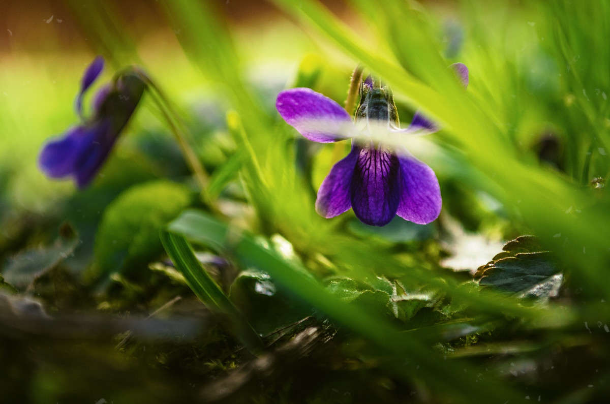 ))) ����� ������ ���������� �� PhotoGeek.ru #������ ��� ������� #���������