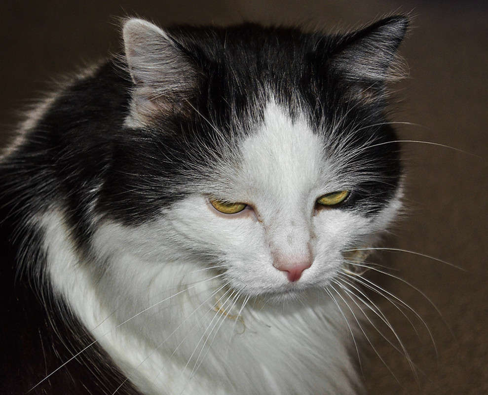 ����������� ����� ������ ���������� �� PhotoGeek.ru #�������� ��� #������� #�������� ��� #�����D5100