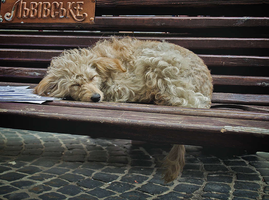 ... ����� ������ ���������� �� PhotoGeek.ru #�������� ��� #������� #�������� ��� #�����D5100