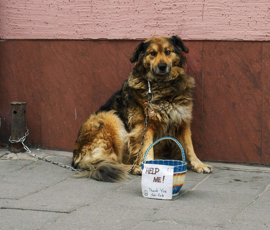 ... ����� ������ ���������� �� PhotoGeek.ru #�������� ����������