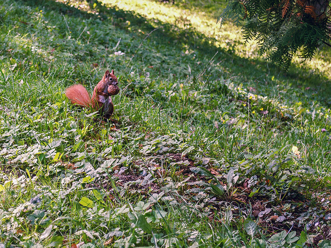 ���� ������ ������ ����� ������ ���������� �� PhotoGeek.ru #�������� ��� #������ ��� �������