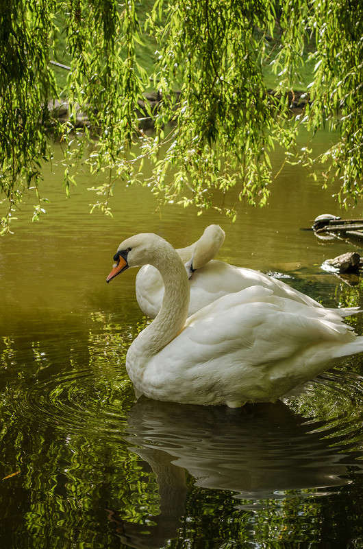 ... ����� ������ ���������� �� PhotoGeek.ru #�������� ��� #�������