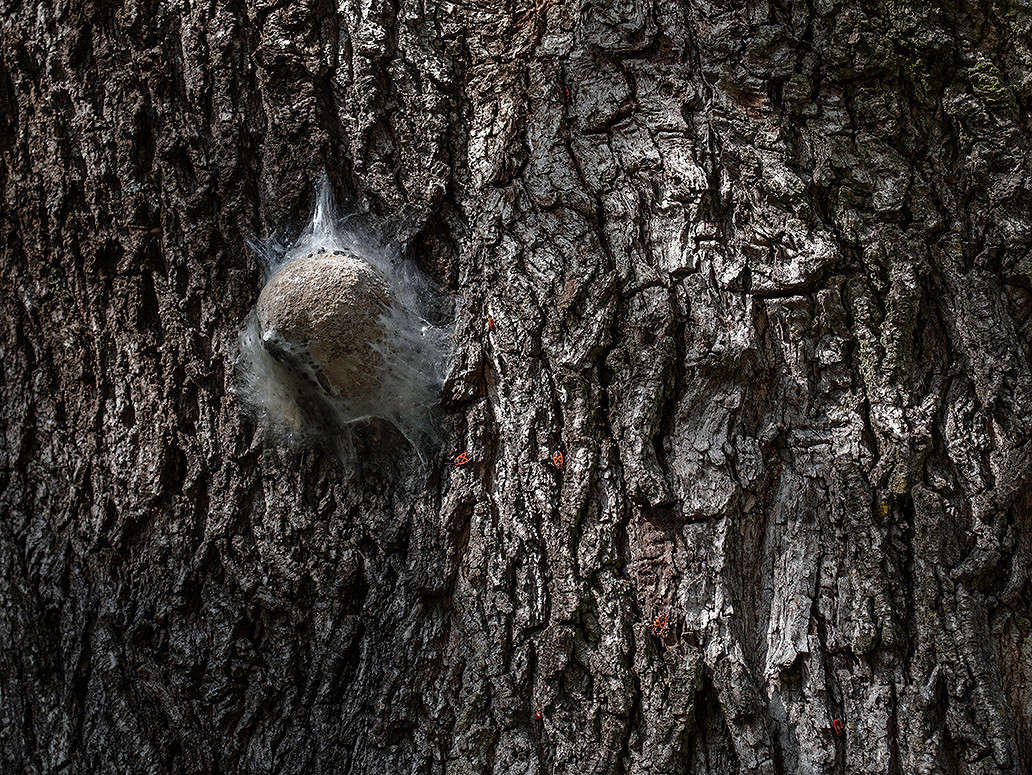 ������ �� ������, � ��� ����� �� ����. ����� ������ ���������� �� PhotoGeek.ru #������ ��� �������