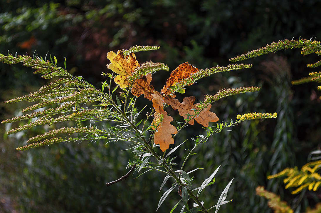 ������ ����� ����� ������ ���������� �� PhotoGeek.ru #������ ��� ������� #��������� #�����D5100