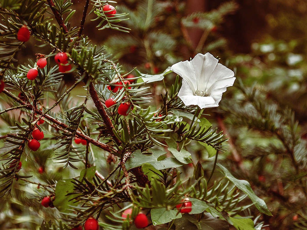 ������ ����� ������ ���������� �� PhotoGeek.ru #������ ��� ������� #���������