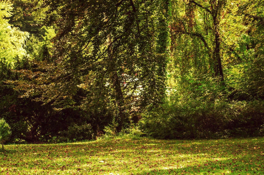 ������� ������� ����� ����� ������ ���������� �� PhotoGeek.ru #������ ��� ������� #���������