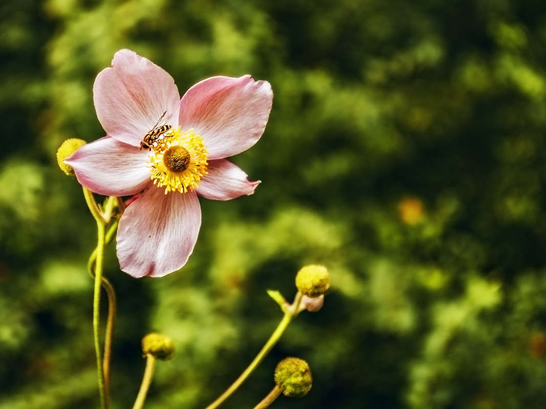 ... ����� ������ ���������� �� PhotoGeek.ru #������ ��� ������� #���������