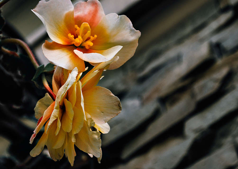 ... ����� ������ ���������� �� PhotoGeek.ru #������ ��� ������� #���������