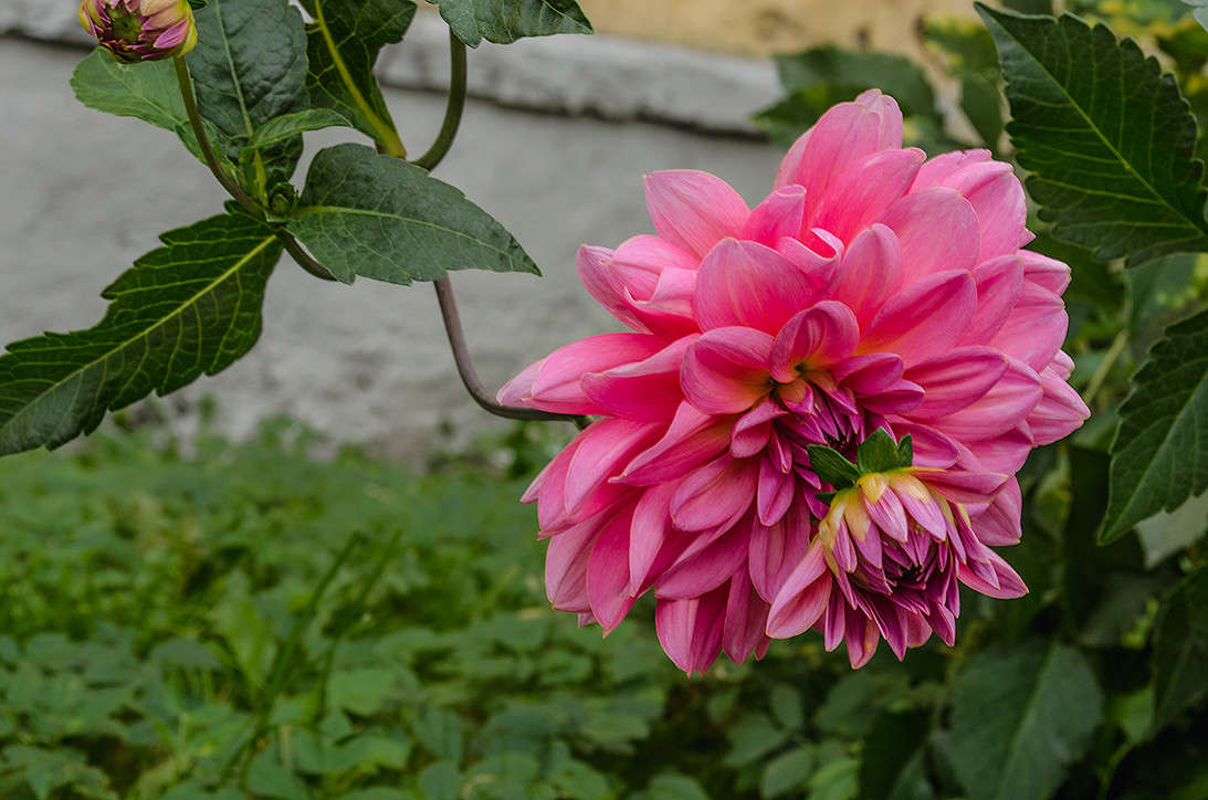 ��� � ����� ��� ���� � ���� ��� ���� �� ����� ����� ������ ���������� �� PhotoGeek.ru #������ ��� ������� #���������