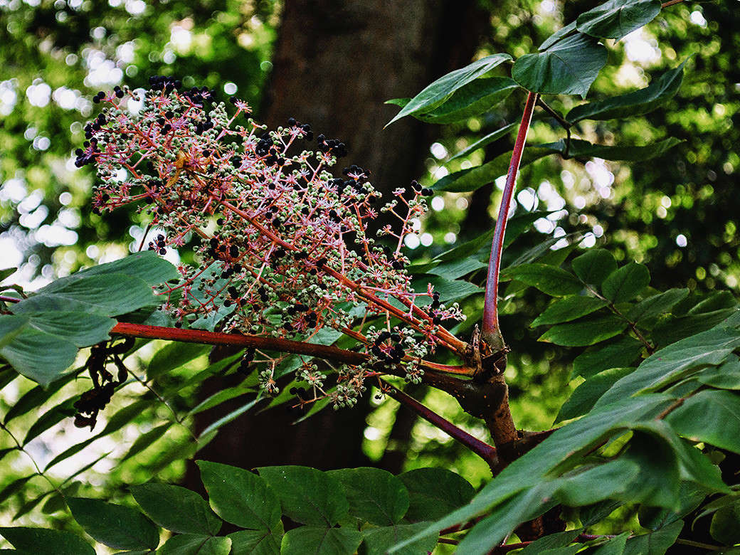 ... ����� ������ ���������� �� PhotoGeek.ru #������ ��� ������� #���������