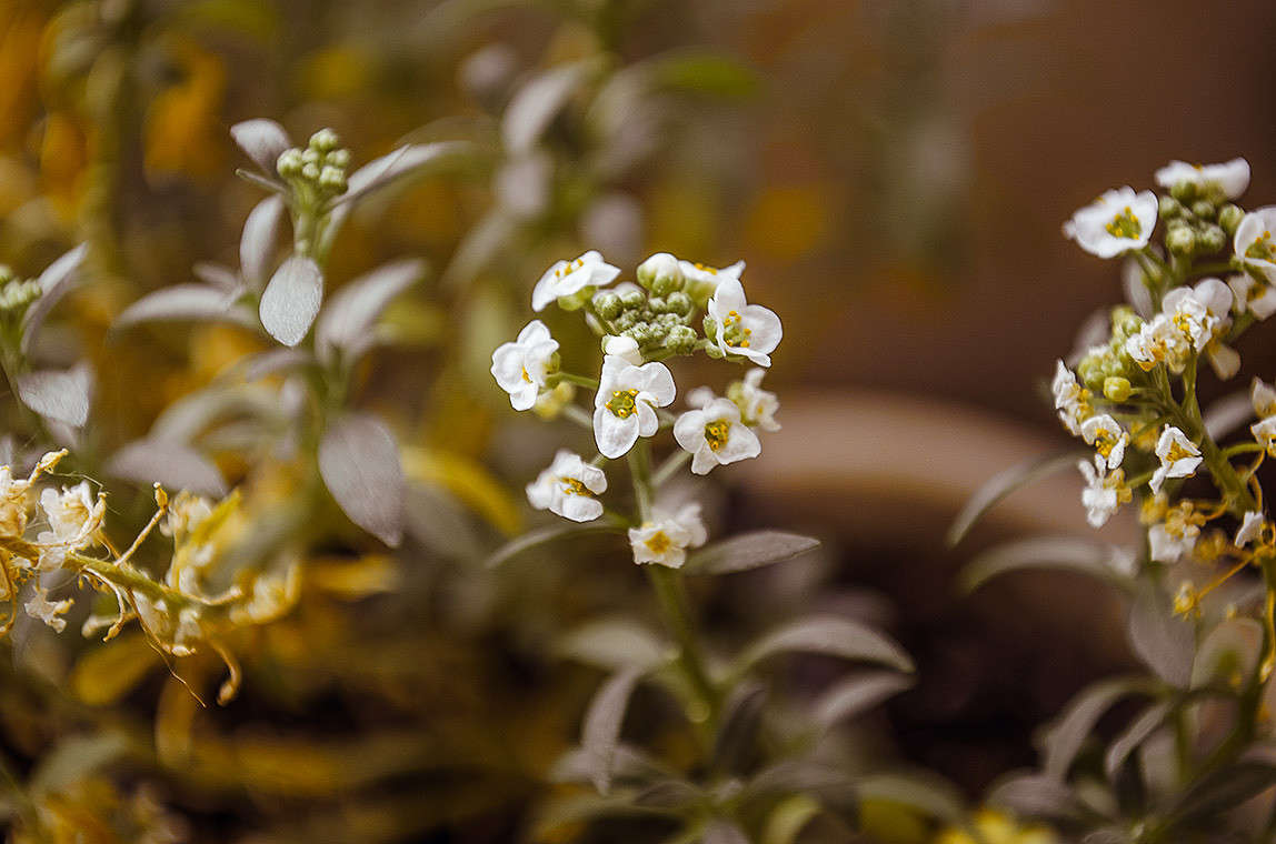 ��������� �������� � ��������� ��������. ����� ������ ���������� �� PhotoGeek.ru #������ ��� ������� #���������